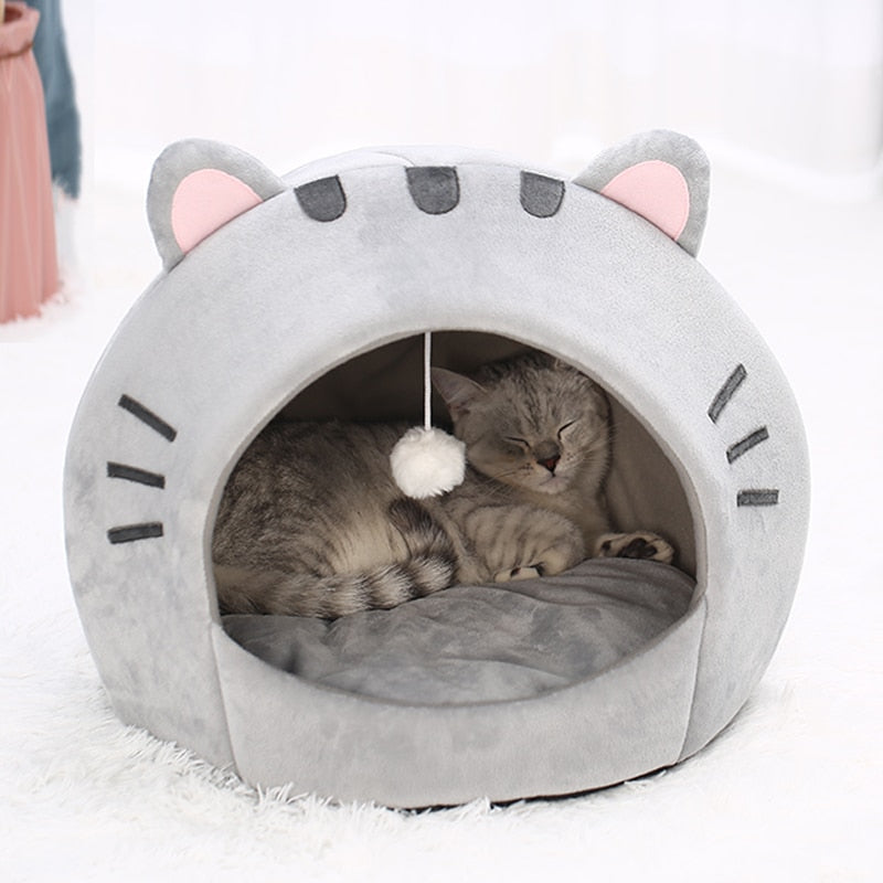 Katzenbett