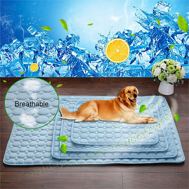Hunde Kühlmatte
