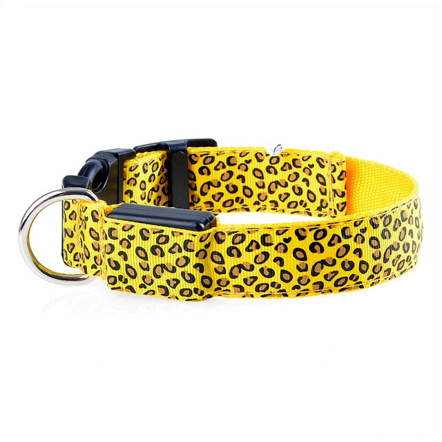 Leoparden LED-Halsband