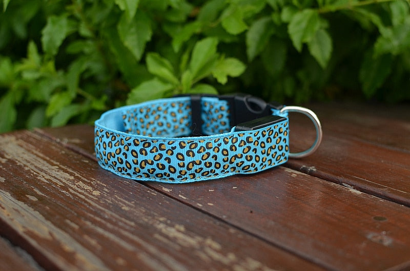 Leoparden LED-Halsband