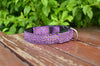 Leoparden LED-Halsband