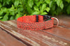 Leoparden LED-Halsband